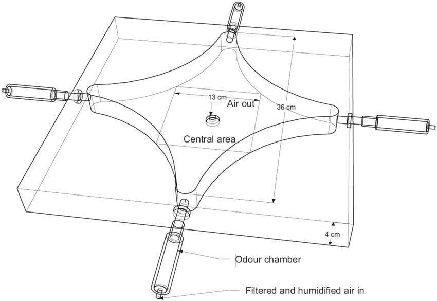 Standard Operating Procedure and Data Recording for 4 Choice Insect olfactometer